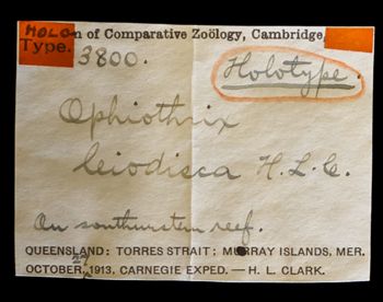 Media type: image;   Invertebrate Zoology OPH-3800 Description: Labels for this specimen included in the specimen tray.;  Aspect: labels